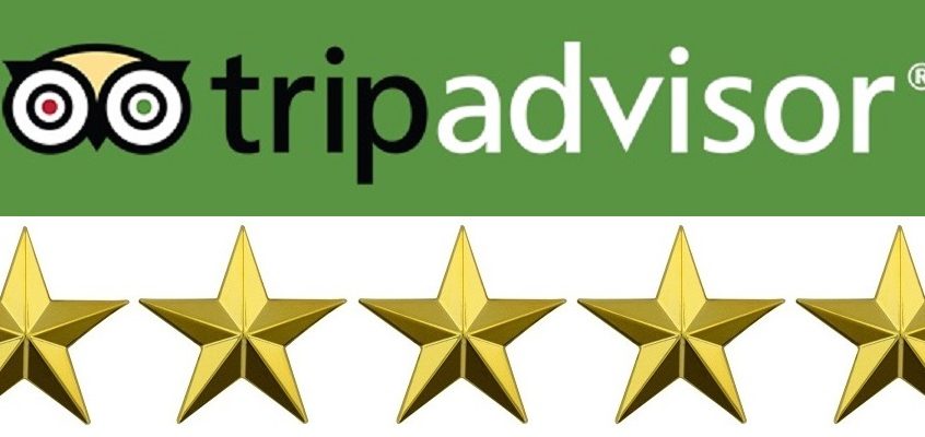 5-Star Rating for Your London Tours