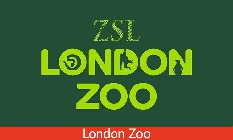 Family London Tours Zoo